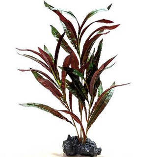 MAC Bellita 人造水草 D10431, 1個