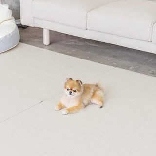 디팡 반려견 미끄럼방지 펫플레이 매트 러그타입, 시크 크리미, 2개
