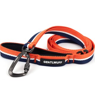 젠틀우프 강아지 리드줄, 트와일라잇 포레스트, 1개