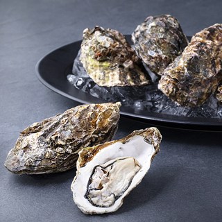 남해안 산지직송 쪄먹는 프리미엄 왕석화 개체굴 6~10미 (냉장), 2kg, 1개