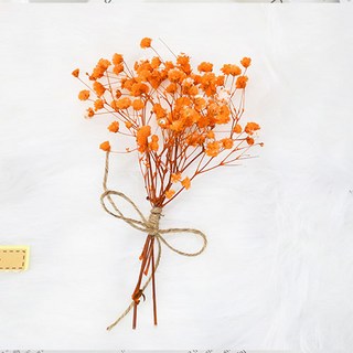 Jouet Objet Rio 乾燥花小花束, 13