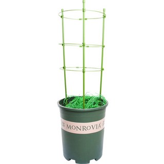 Tigutelu 植物圓形支架套組, 1套