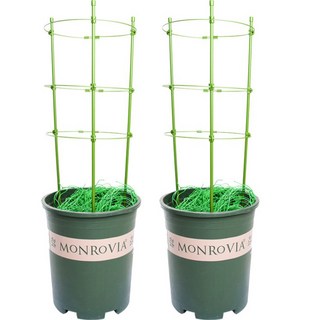 Tigutelu 植物圓形支架套組, 2套