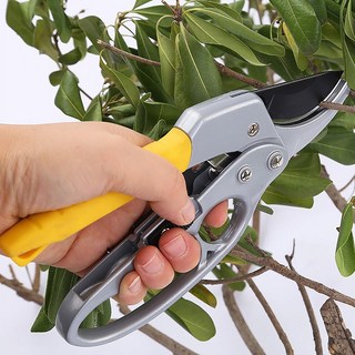 明尚生活 高強度鋼製修枝園藝剪刀 黃色, 1個