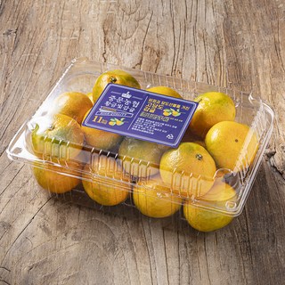 중문농협 황금빛 당도선별 11brix 감귤, 1.5kg(로열과), 1팩