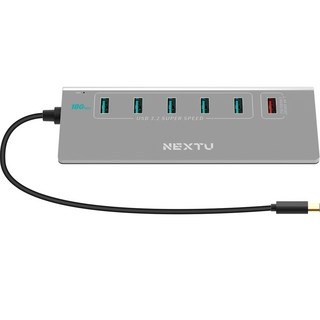 Nextu USB3.2 GEN2 C型 8埠 可充電兩用集線器 NEXT-336G2-10G, 混合顏色