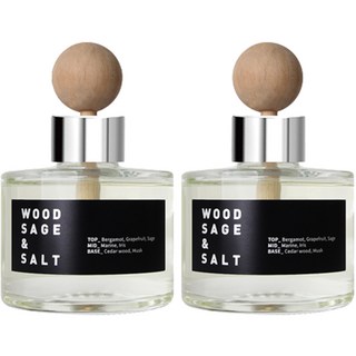 플렌느 니치향수 차량용 디퓨저 120ml 2p, 1개, 우드세이지앤솔트