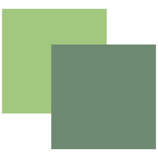 DAEHAN 雙面PVC背景板 S 60*60cm 橄欖綠, 單品, 1個