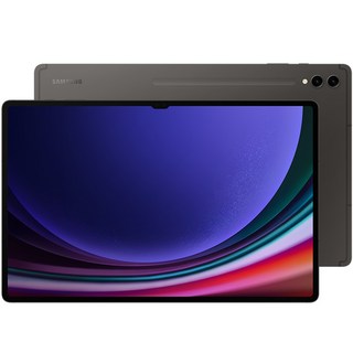 삼성전자 갤럭시탭 S9 울트라, 그라파이트, 1TB, Wi-Fi