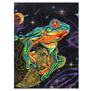 Alode 彩色青蛙圖案壁飾 DIY鑽石畫 30 x 40 cm, NO. 09, 1個