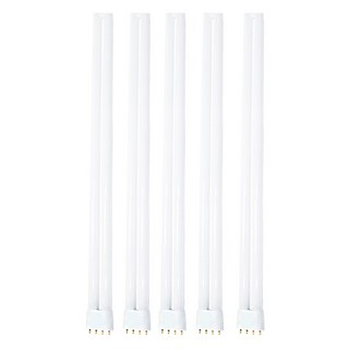 비츠온 FPL 이관 형광등 36W, 주광색, 5개