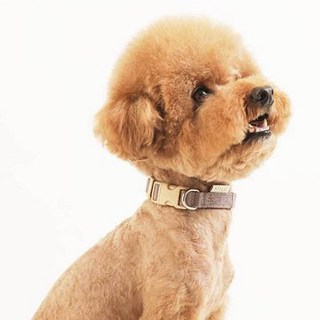 힛찌 강아지 초경량 부드러운 목줄, 코코아브라운, 1개