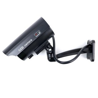 假CCTV監視攝影機模型, 單品