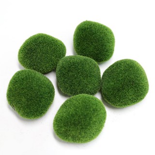 人造苔蘚石, 6個
