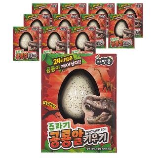 agaplus 泡水養成一把抓恐龍蛋 12種套組 隨機出貨, 1套