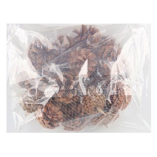 Uniart 500克天然松果, 1個, 單一顏色