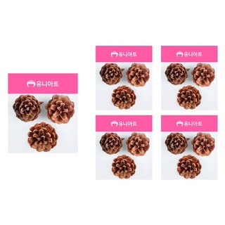 Uniart 2000 天然松果 大 3入, 單一顏色, 5個