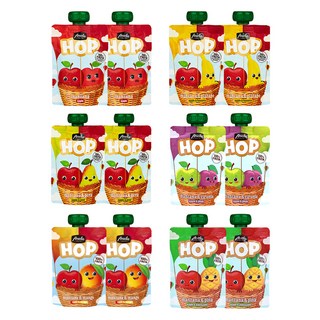 아넬라 호프 과일퓨레 100g x 6종 x 2p 세트, 혼합맛(사과/바나나/사과배/푸룬/망고/파인애플
), 1세트