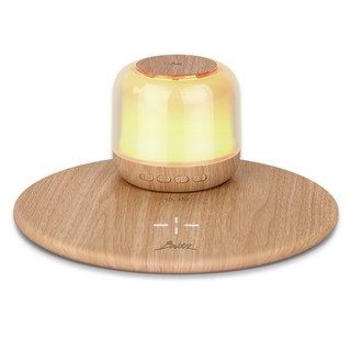 브리츠 무선 충전 휴대 겸용 블루투스 스피커 세트, BZ-T200BT, 우드