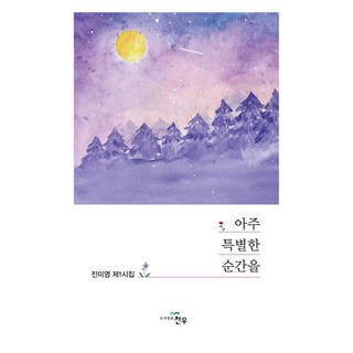 一個非常特別的時刻, 天宇, 秦美英