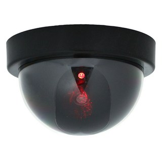 Dometopia 圓型監視器攝影機, 1個, 單品