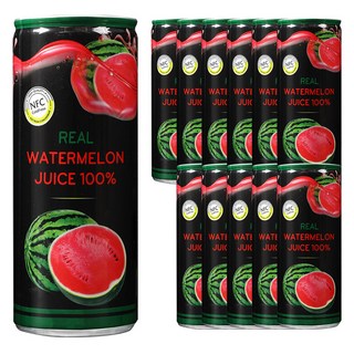 PharmoVit 西瓜果汁, 12罐, 250ml