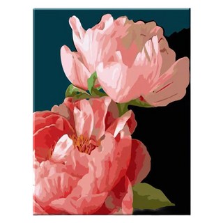 Momopix Painting DIY數字油畫組 50 x 40cm, I76 兩朵牡丹花, 1個