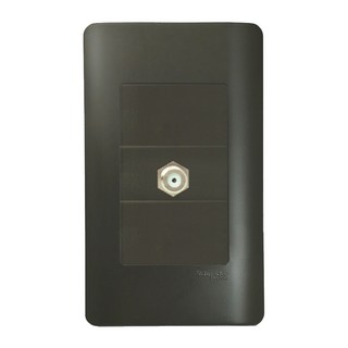 Schneider Electric 施耐德電機 ZENcelo系列 埋入式高屏蔽電視插座 鐵灰色, 1個