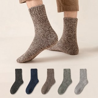 Daynic 男士混色羊毛內刷毛襪 5雙1組 DSM-12