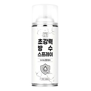 생활공식 초강력 방수스프레이 투명 420ml, 1개