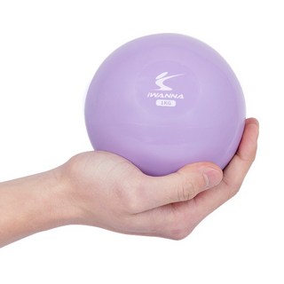韓國 iWANNA 塑身重力球, 1kg, 1個, 蘭花紫