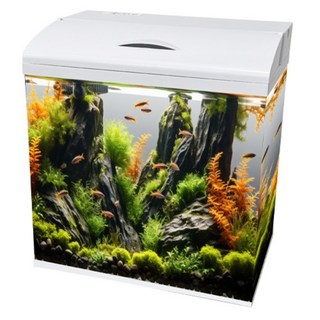 아마존 올인원 일체헝어항 AMZ-320, 1개