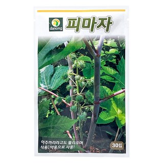 다농 피마자 씨앗 30p, 1개