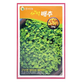 다농 새싹 배추 씨앗 30g, 1개