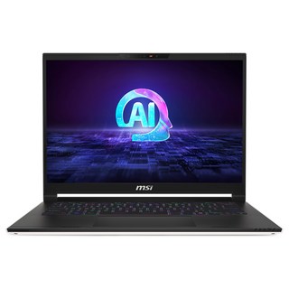 MSI 스텔스 14코어