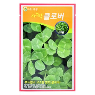 다농 새싹클로버 씨앗 30g, 1개