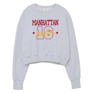 AiR Plane Manhattan16 短版大學T