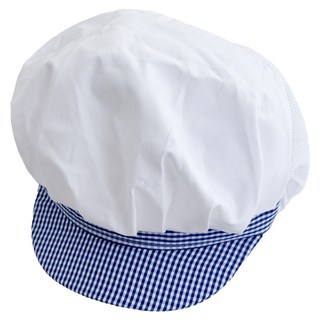 네오 반망사 위생모자, 블루체크, 1개
