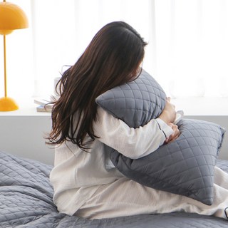 BasicTone 防蟎可整顆水洗飯店枕頭, 灰色, 1個