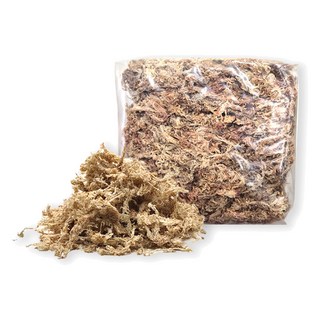 가든잇 깨끗한 수태 이끼 75g, 1개