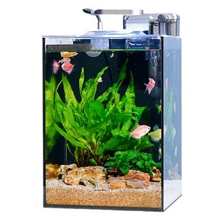 아쿠아렉스 COB LED 조명 여과기 일체형 올디아망 어항 세트 D형, 실버(여과기), 1세트