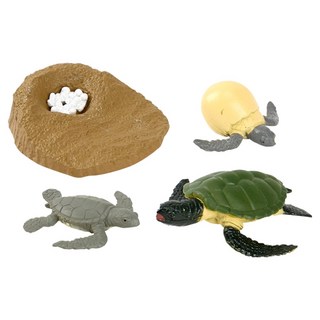 Kes.B 自然生態成長過程公仔 烏龜套組, 1套