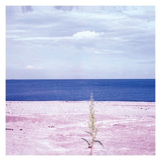 鄭密雅 - 思念也是病 第1張專輯 再版, 1CD