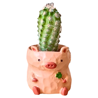 UMEZAWA TRADING 無底孔小豬造型樹脂花盆 可愛動物造型 居家園藝擺飾, 1個, 單一顏色