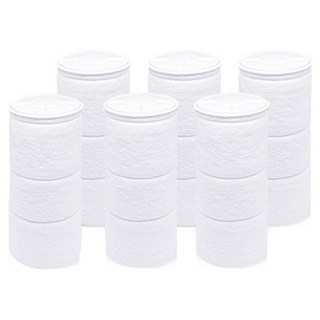 필터클래스 닥터피엘 오리지널 주방핸디형 호환 염소필터, 6개, 무향