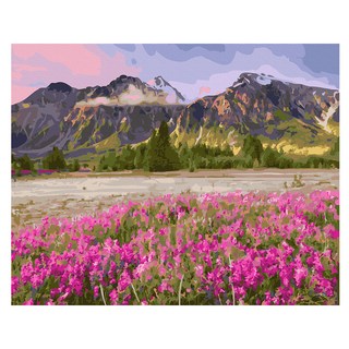 ArtLife 藝術生活 DIY 數字油畫 含框 DT027 50 x 40cm, 原野山情, 1組