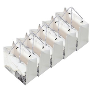 르홈 고급 선물 행운 쇼핑백, E형, 5개