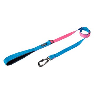 분독 강아지 오리지널 리쉬 1.4m + 카라비너 세트, 아쿠아핑크, 1세트