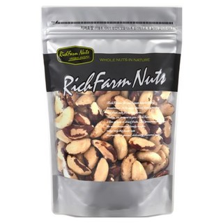 리치팜너트 브라질넛, 1kg, 1개