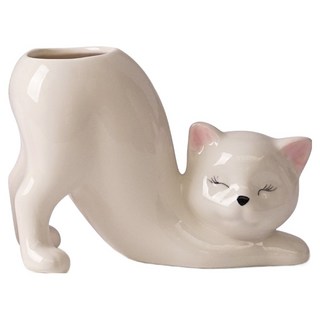 Morningscent 陶瓷小型植物多肉仙人掌盆栽換盆貓尾花盆, 白色, 1個